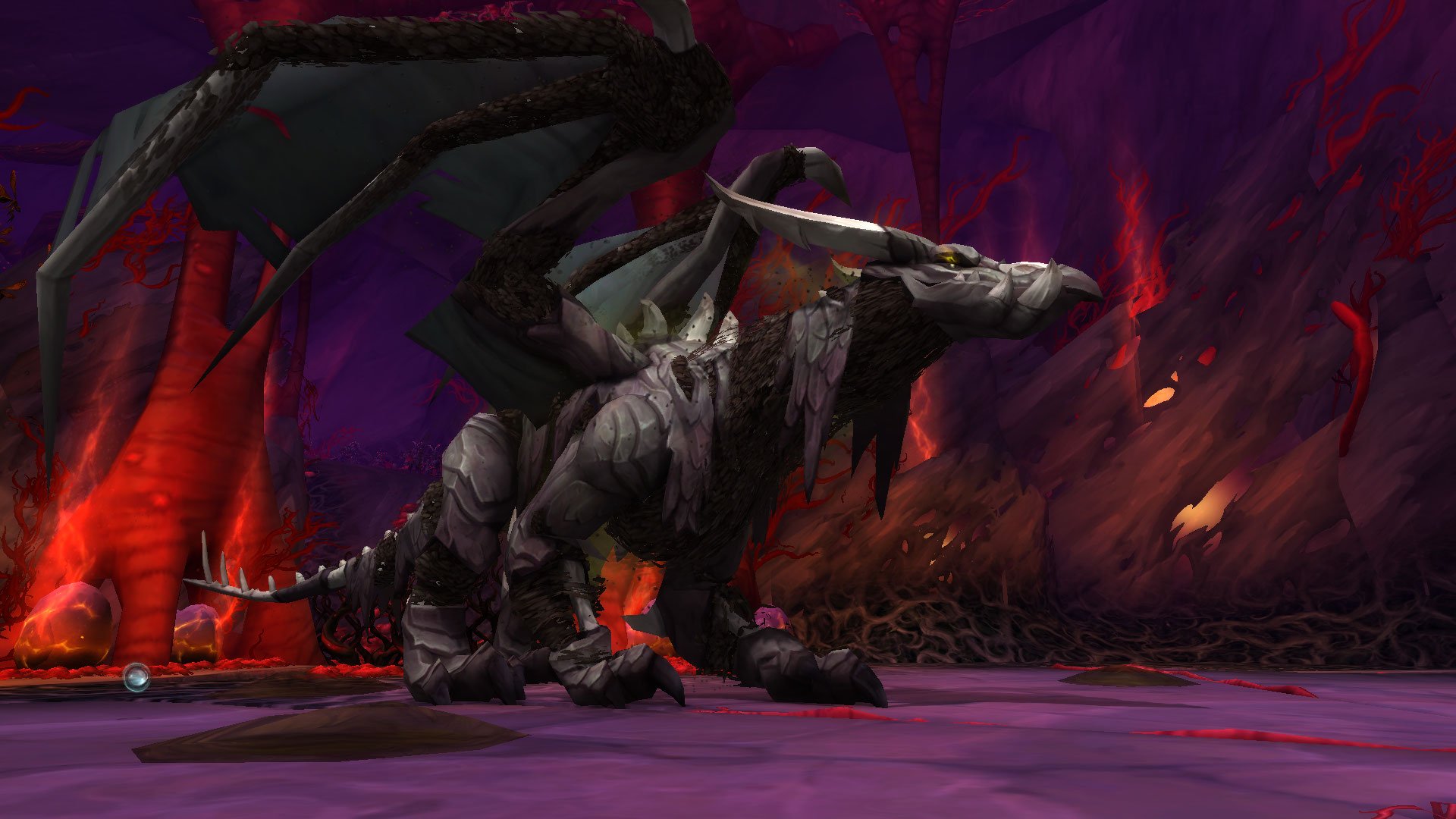 Screenshot from my time in Azeroth